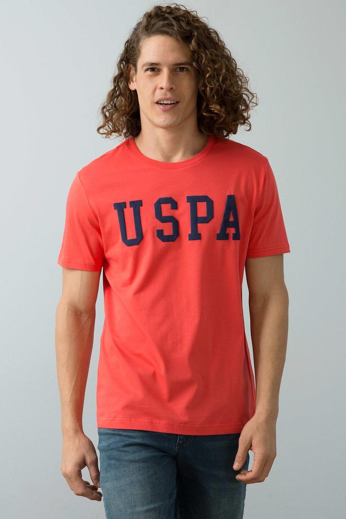 Erkek Nar Çiçeği Bisiklet Yaka T-Shirt Basic