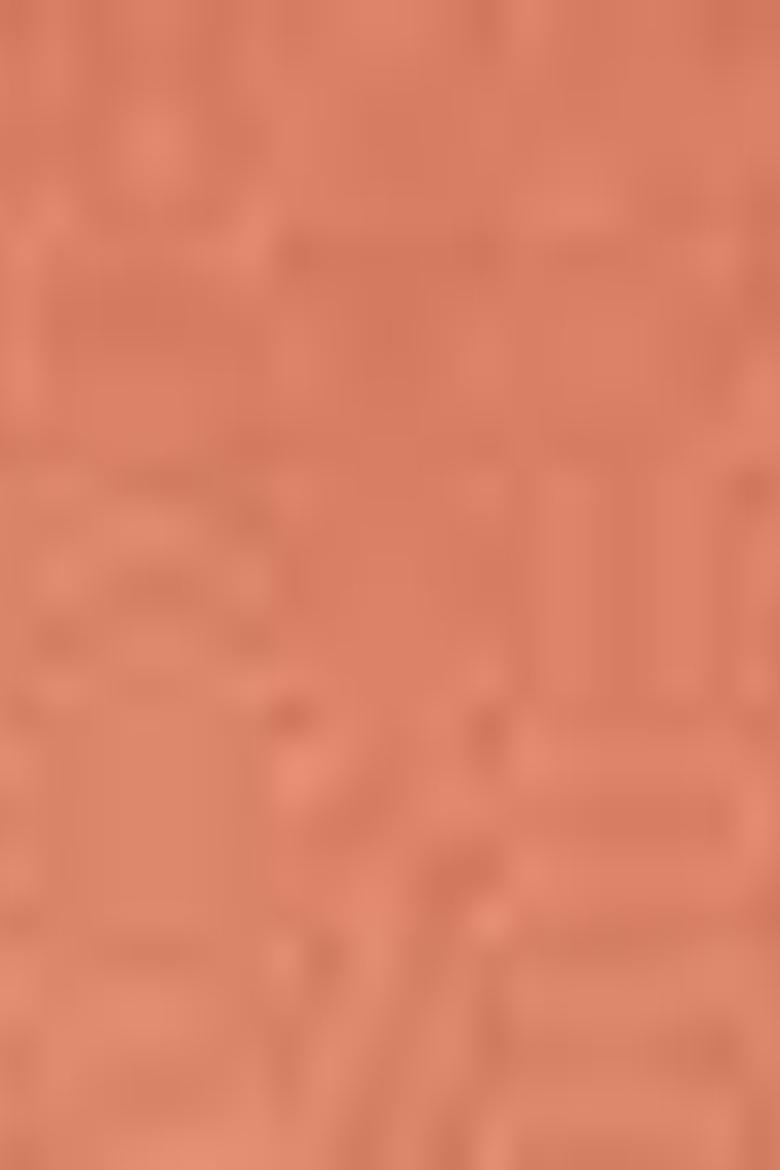 Erkek Somon Basic Tişört - 50199830104