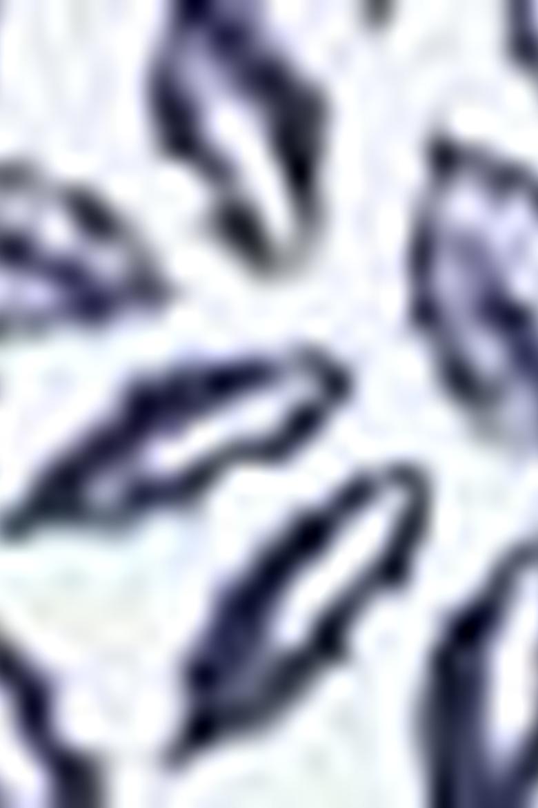 Erkek Lacivert Polo Yaka T-Shirt - 50199922051