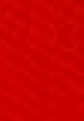 Erkek Çocuk Kırmızı Polo Yaka Tişört - 50199933047