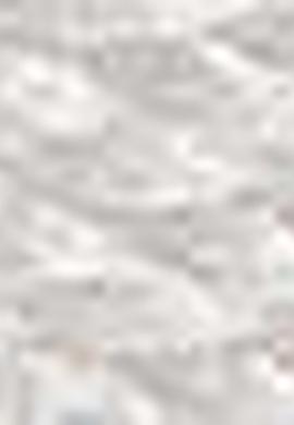 Erkek Beyaz Spor Ayakkabı - 50200917002