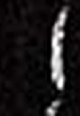 Erkek Siyah Ayakkabı - 50200917012