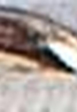 Erkek Çocuk Beyaz Ayakkabı - 50200918009