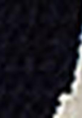 Erkek Lacivert Ayakkabı - 50201866025