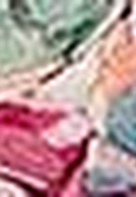 Kız Çocuk Pembe Tişört - 50202005012