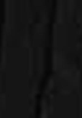 Erkek Siyah Triko Kazak - 50202511062