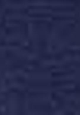 Kadın Lacivert Örme Şort - 50202739006