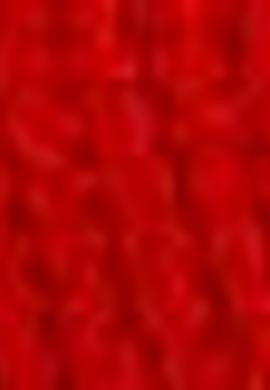 Erkek Kırmızı Şapka - 50203046002