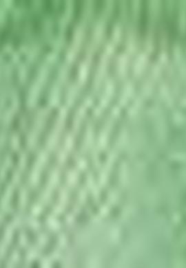 Kız Çocuk Yeşil Şort - 50203109052