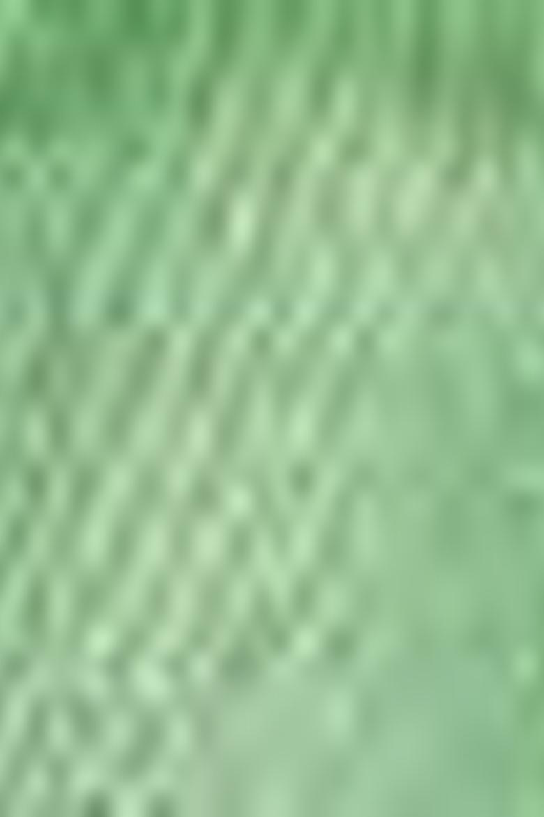 Kız Çocuk Yeşil Şort - 50203109052