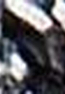 Kadın Gri Çorap - 50203141004