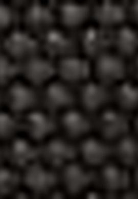 Kadın Siyah Çanta - 50203389001