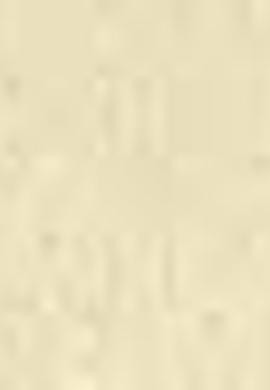 Erkek Sarı Pijama Takımı - 50213337007