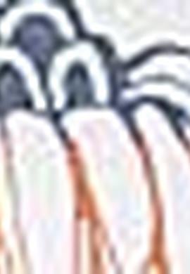 Kadın Lacivert Tişört - 50193663012