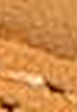 Kadın Sarı Bot - 50196139011