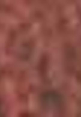 Kırmızı Kemer - 50196317014