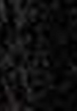 Erkek Lacivert Bere - 50197047001