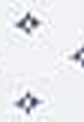 Erkek Beyaz Polo Yaka T-Shirt - 50200019009