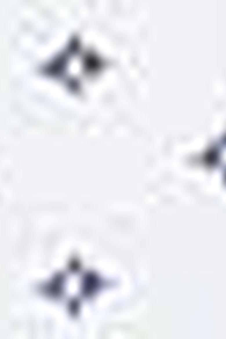 Erkek Beyaz Polo Yaka T-Shirt - 50200019009