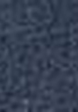 Erkek Lacivert Gömlek - 50200050004