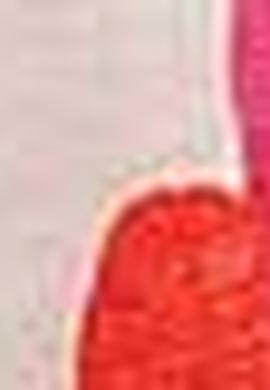 Kız Çocuk Beyaz Tişört - 50202045001