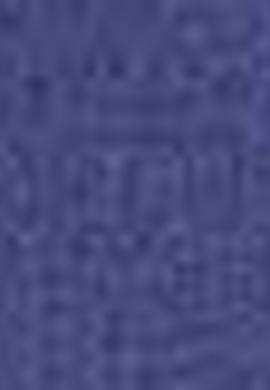 Kadın Lacivert Polo Yaka T-Shirt - 50202110012