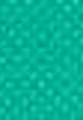 Kız Çocuk Tişört - 50202169075