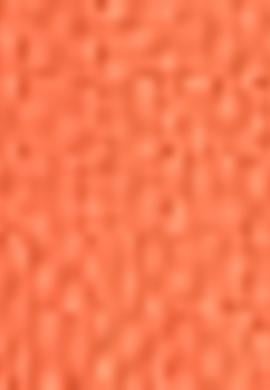 Kız Çocuk Tişört - 50202240078