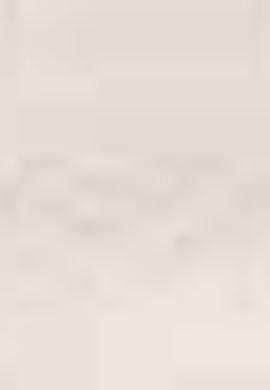 Erkek Bej Dokuma Şort - 50203532021