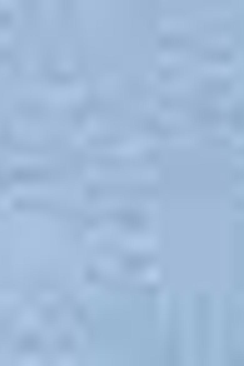 Erkek Mavi Şort - 50203532026