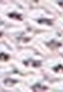 Erkek Beyaz Spor Ayakkabı - 50203566007