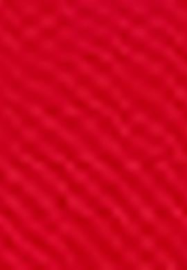 Kadın Kırmızı Polo Yaka T-Shirt - 50204742051