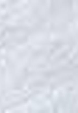 Kadın Beyaz Bisiklet Yaka T-Shirt - 50204847007