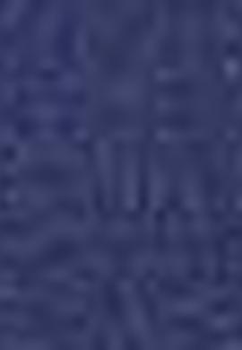 Kadın Lacivert Polo Yaka T-Shirt - 50204904008