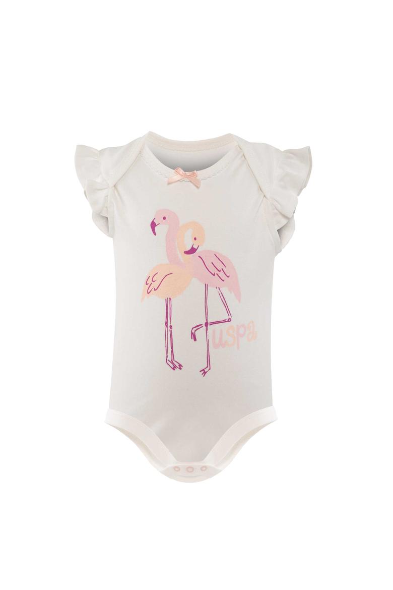 3'lü Body - 50205047004