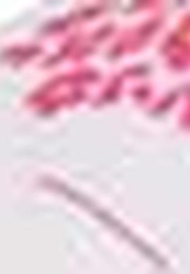 3'lü Body - 50205049006