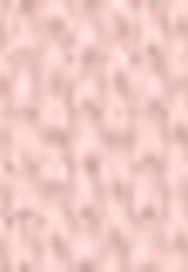 Kız Bebek T-Shirt - 50205069015