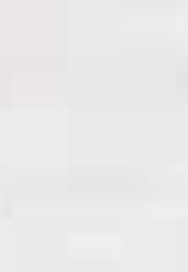 Kız Bebek T-Shirt - 50205150004