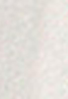 Beyaz Sweatshirt - 50205401004