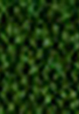 Erkek Çocuk Gri Triko Hırka - 50206132002