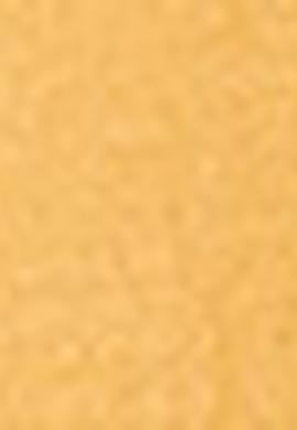 Erkek Turuncu Polo Yaka T-Shirt - 50206183199