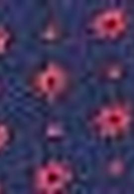 Erkek Nar Çiçeği Polo Yaka T-Shirt - 50206186038