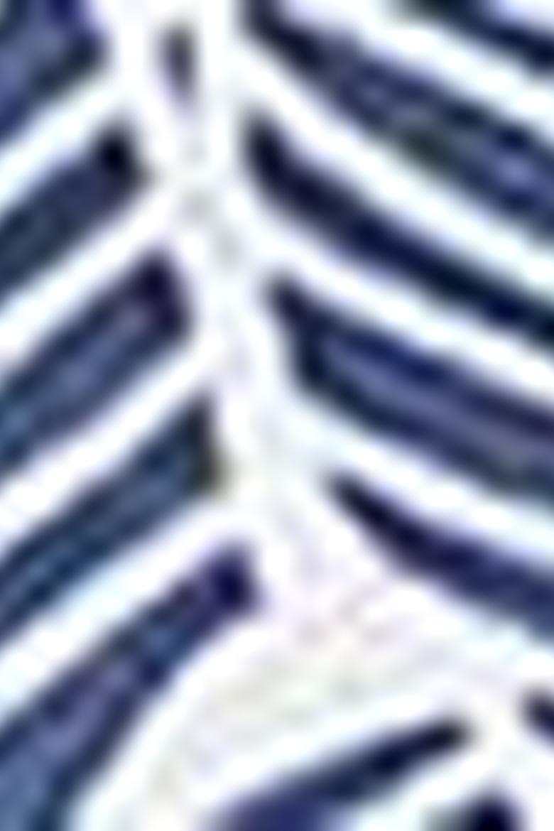 Erkek Beyaz Polo Yaka T-Shirt - 50206187001