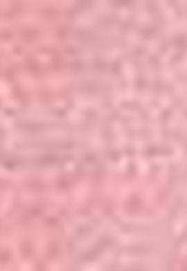 Erkek Kırmızı Gömlek - 50206193020