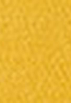 Erkek Koyu Sarı  Polo Yaka T-Shirt - 50206194093