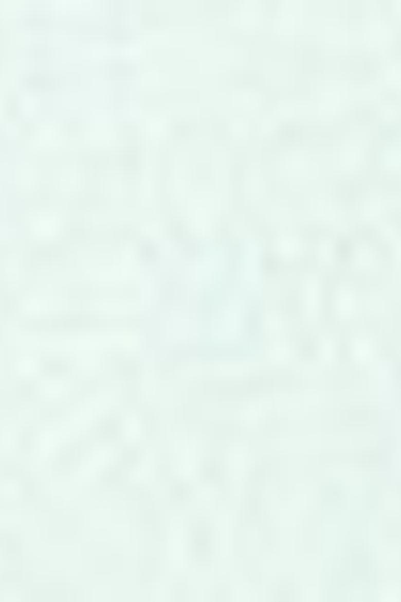 Erkek Yeşil Polo Yaka T-Shirt - 50206194163