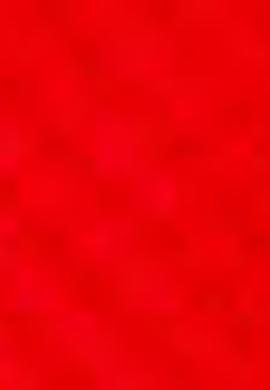 Erkek Kırmızı Hakim Yaka T-Shirt - 50206202021