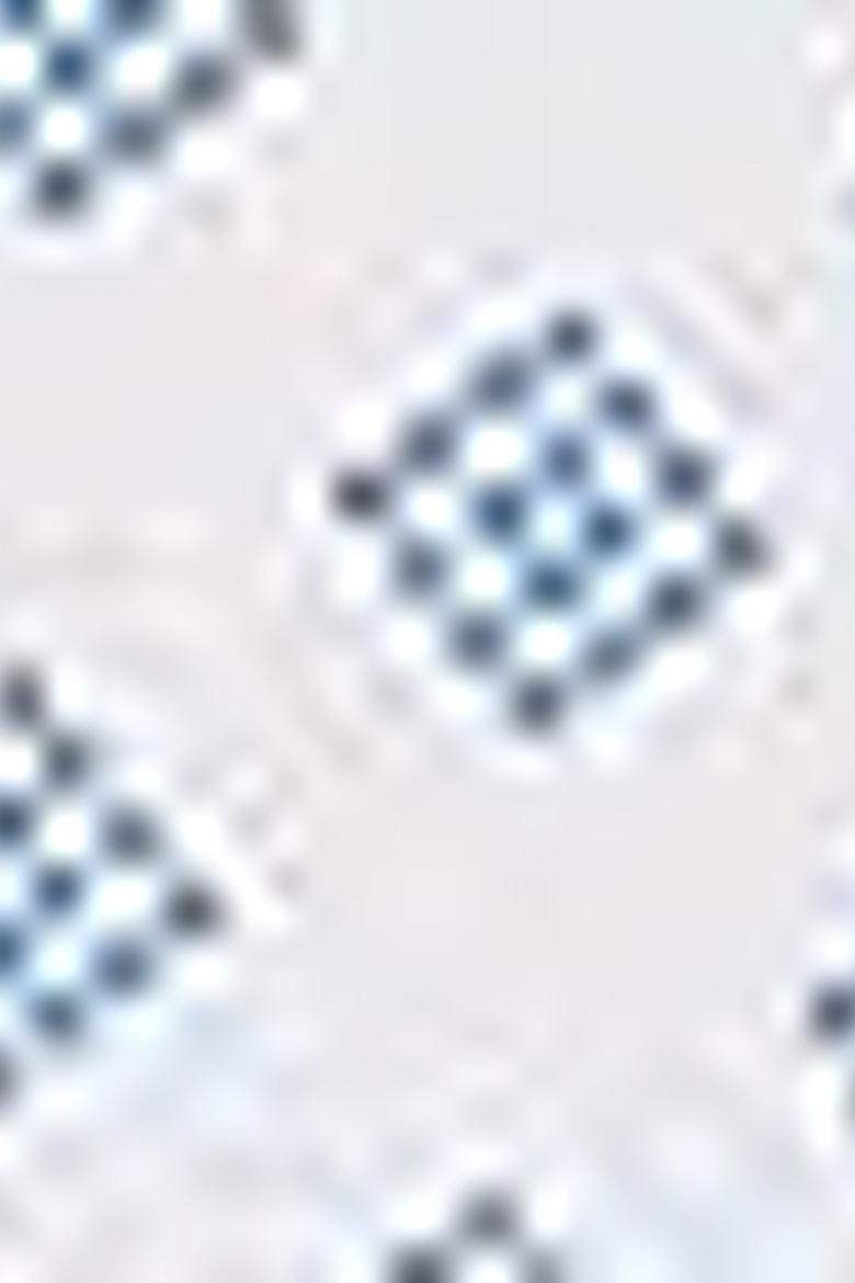 Erkek Beyaz Polo Yaka T-Shirt - 50206205006