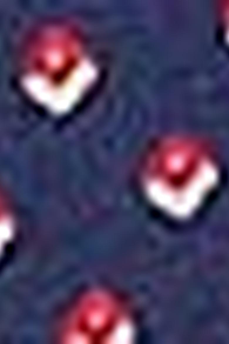 Erkek Lacivert Polo Yaka T-Shirt - 50206212019