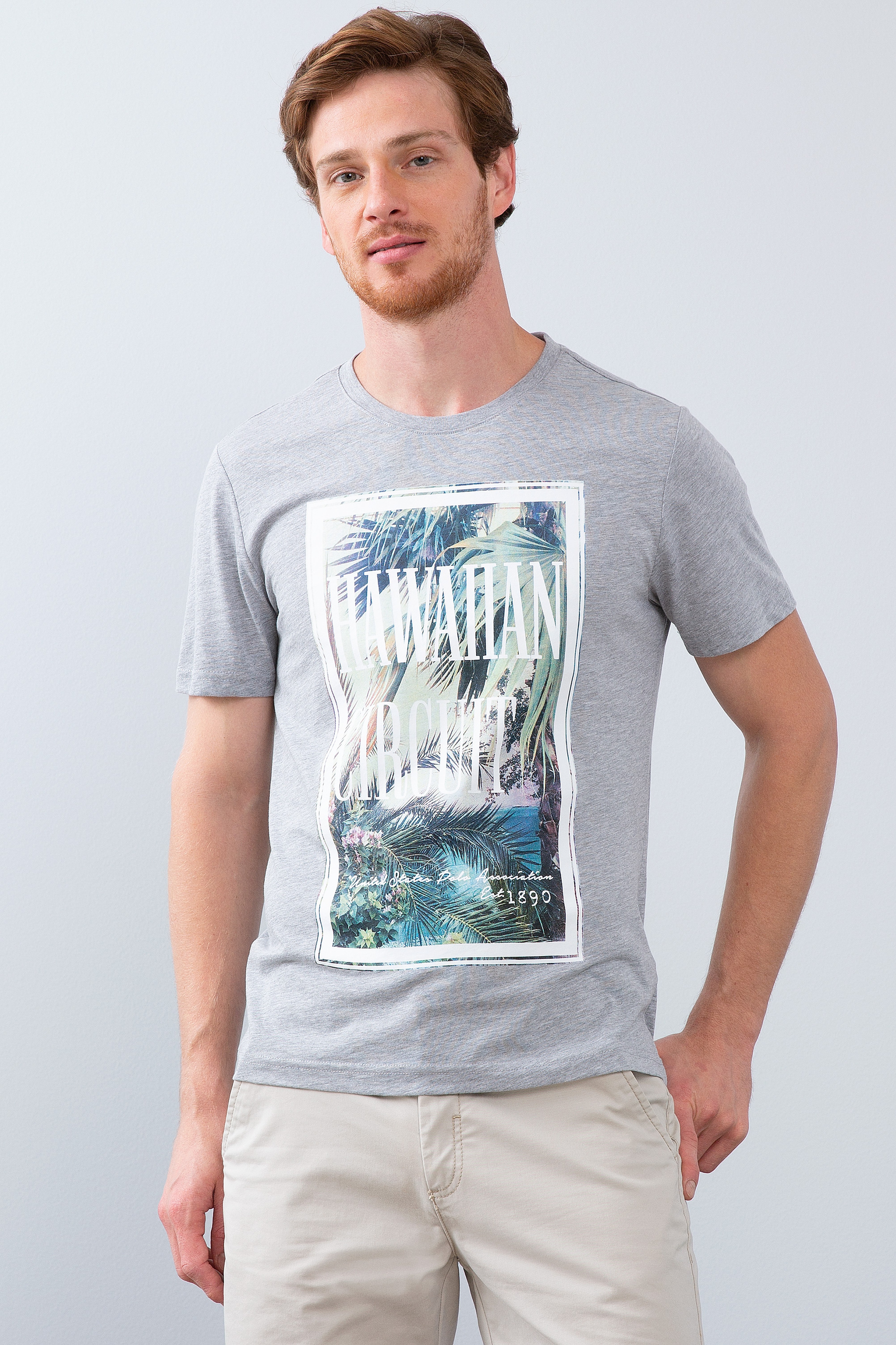 Erkek Gri Melanj Bisiklet Yaka T-Shirt - Image 1